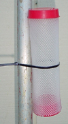 Rincon-Vitova's fly parasite release station hung by cable tie on pipe for use in stalls and fenceposts.